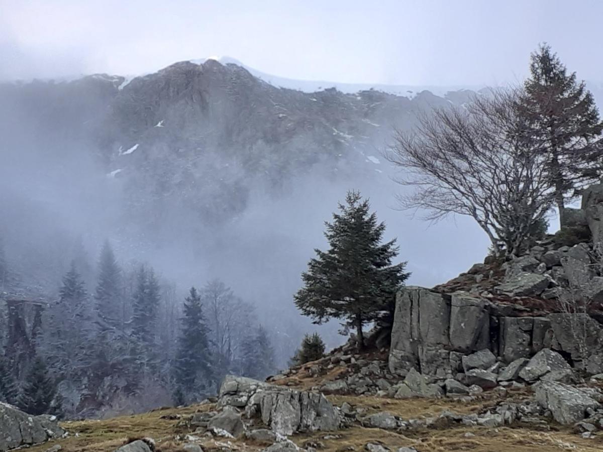 Munster Camping De La Fecht Esterno foto